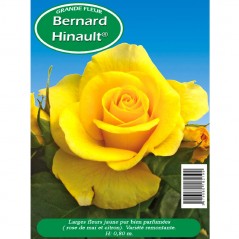 Rosier Bernard Hinault